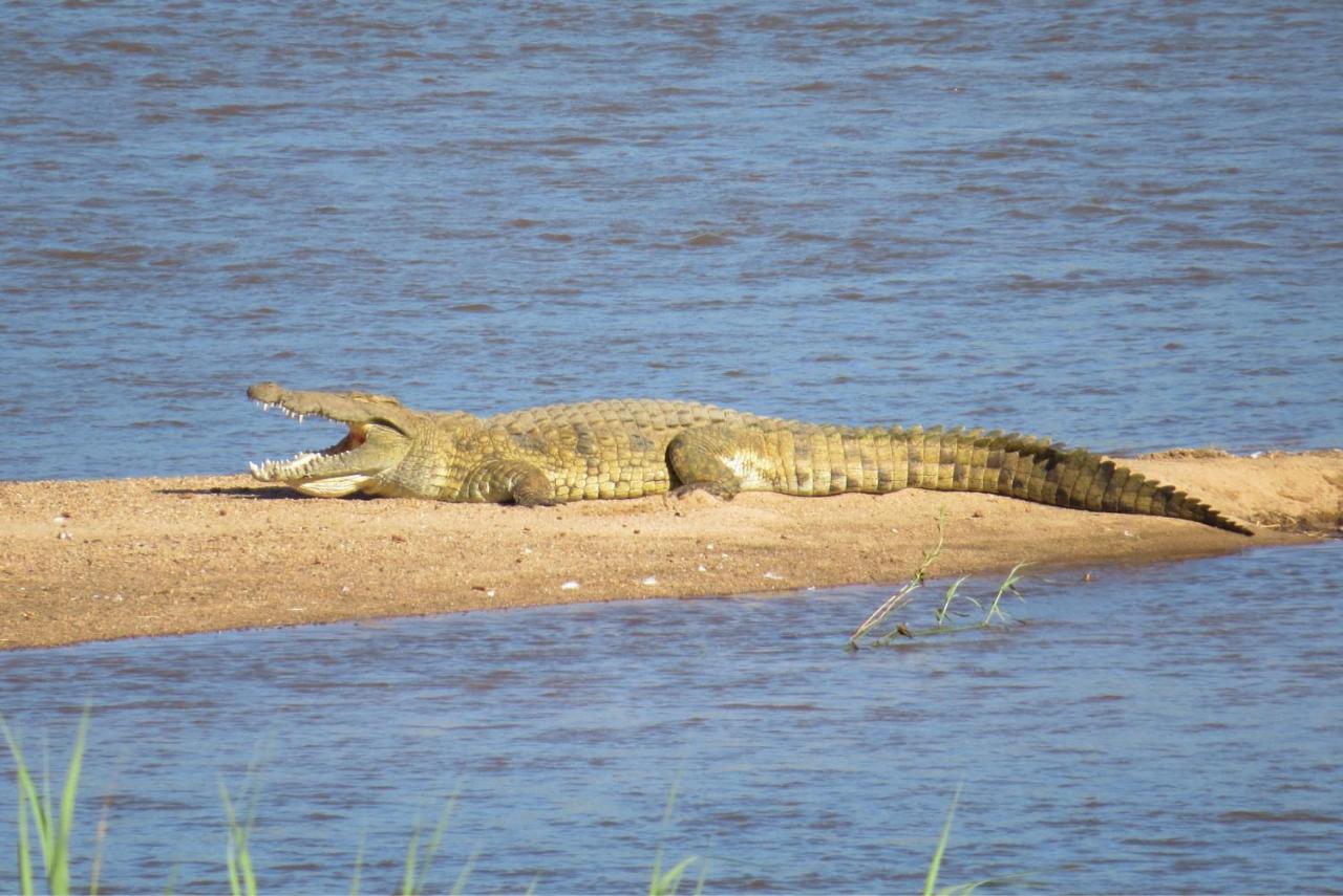 קומאטיפורט Crocodile Bridge Safari Lodge מראה חיצוני תמונה